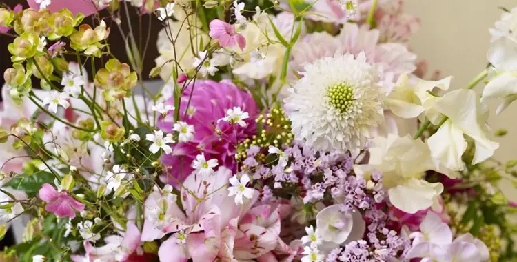 生花アレンジの開店祝い花イメージ